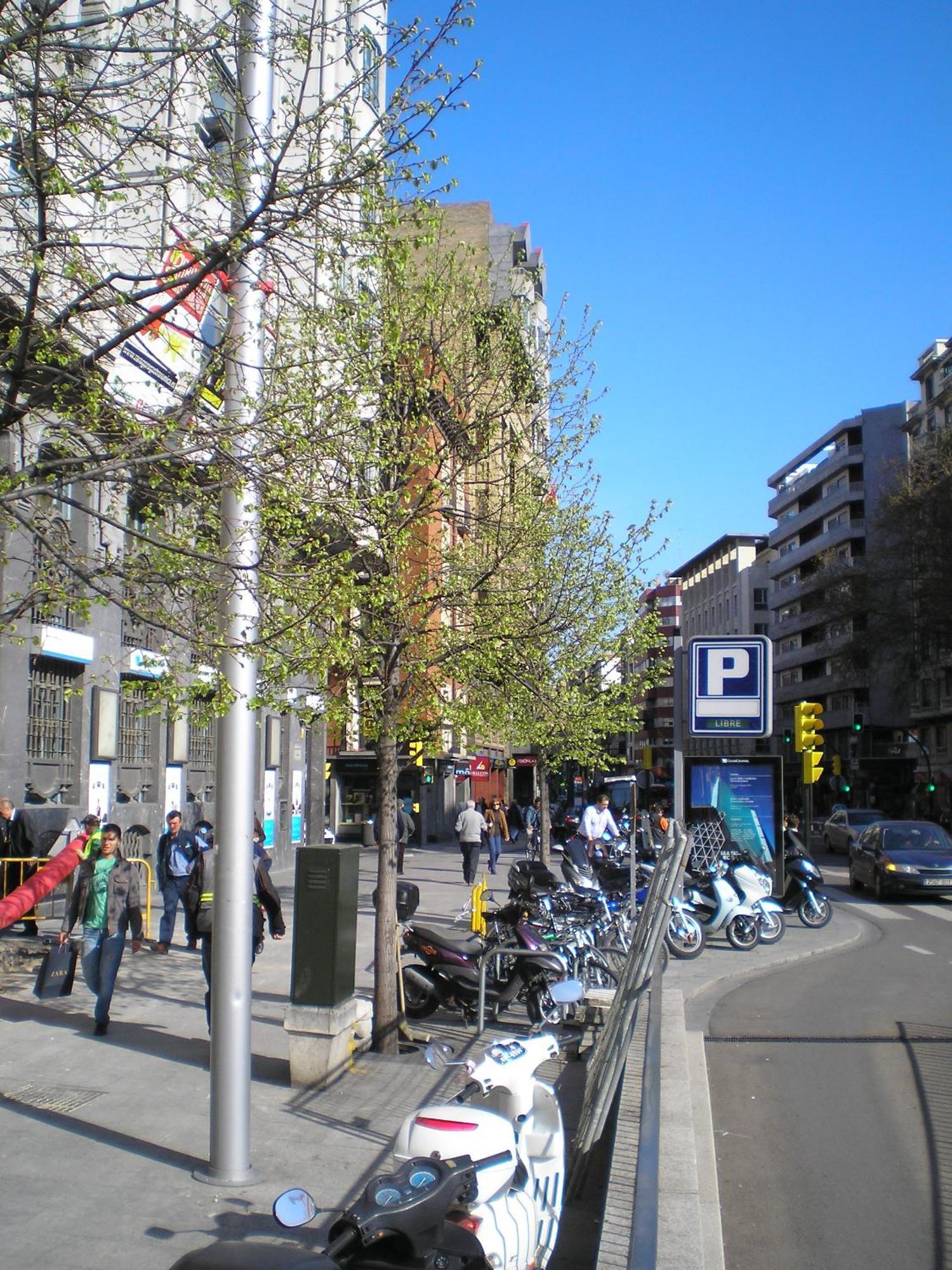 Apartamentos Plaza España Deluxe Zaragoza Exterior foto